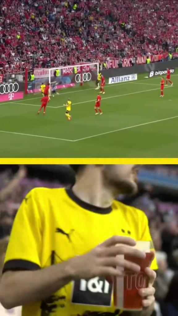 勇者無懼！這是真多特球迷！在拜仁球迷區一個人肆意慶祝！